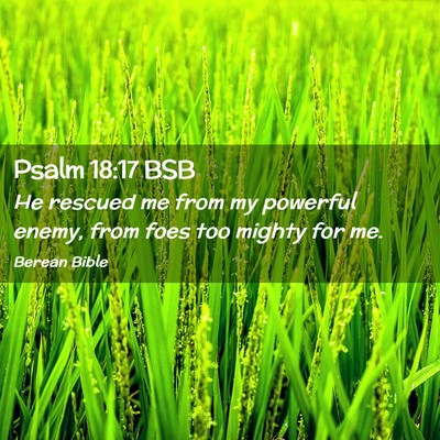 Picture 02 - Psalm 18:17 BSB - He rescued me from my powerful enemy, from foes - Bible Verse Picture