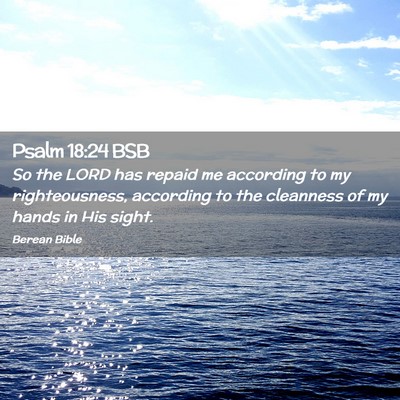 Picture 02 - Psalm 18:24 BSB - So the LORD has repaid me according to my - Bible Verse Picture