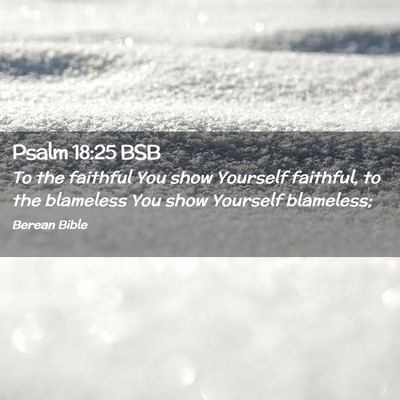 Picture 02 - Psalm 18:25 BSB - To the faithful You show Yourself faithful, to - Bible Verse Picture