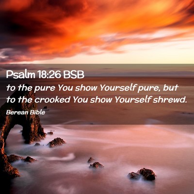 Picture 02 - Psalm 18:26 BSB - to the pure You show Yourself pure, but to the - Bible Verse Picture