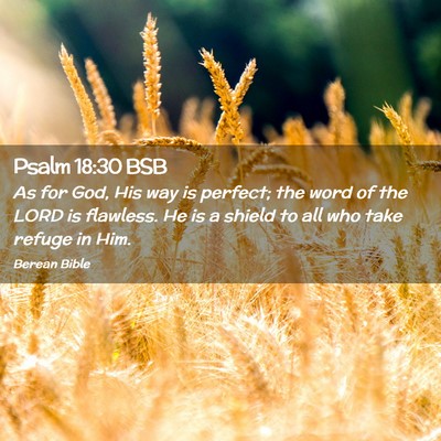 Picture 02 - Psalm 18:30 BSB - As for God, His way is perfect; the word of the - Bible Verse Picture