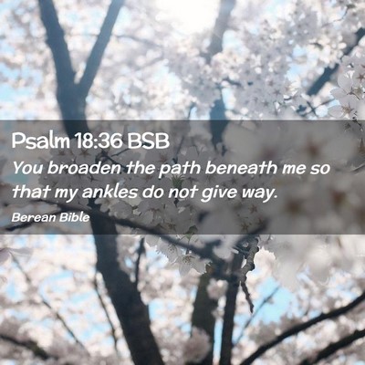Picture 02 - Psalm 18:36 BSB - You broaden the path beneath me so that my ankles - Bible Verse Picture