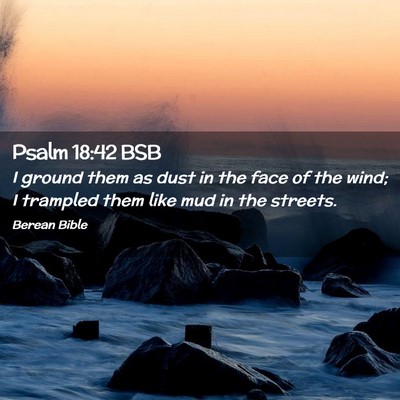 Picture 02 - Psalm 18:42 BSB - I ground them as dust in the face of the wind; I - Bible Verse Picture