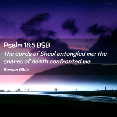 Picture 02 - Psalm 18:5 BSB - The cords of Sheol entangled me; the snares of - Bible Verse Picture