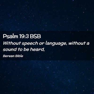 Picture 02 - Psalm 19:3 BSB - Without speech or language, without a sound to be - Bible Verse Picture