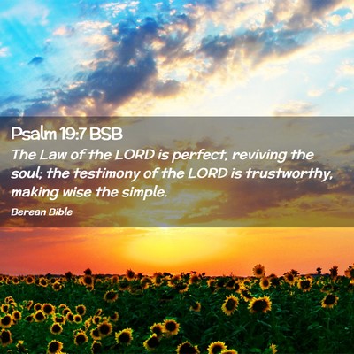Picture 02 - Psalm 19:7 BSB - The Law of the LORD is perfect, reviving the - Bible Verse Picture