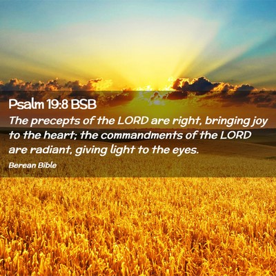 Picture 02 - Psalm 19:8 BSB - The precepts of the LORD are right, bringing joy - Bible Verse Picture
