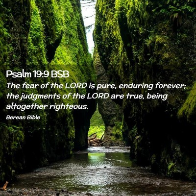 Picture 02 - Psalm 19:9 BSB - The fear of the LORD is pure, enduring forever; - Bible Verse Picture