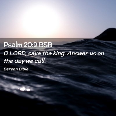 Picture 02 - Psalm 20:9 BSB - O LORD, save the king. Answer us on the day we - Bible Verse Picture