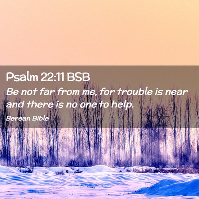 Picture 02 - Psalm 22:11 BSB - Be not far from me, for trouble is near and there - Bible Verse Picture