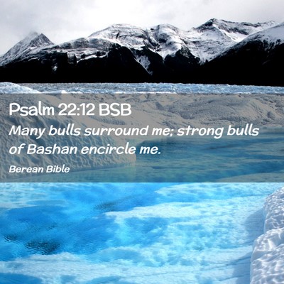 Picture 02 - Psalm 22:12 BSB - Many bulls surround me; strong bulls of Bashan - Bible Verse Picture