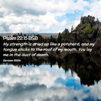 Picture 02 - Psalm 22:15 BSB - My strength is dried up like a potsherd, and my - Bible Verse Picture