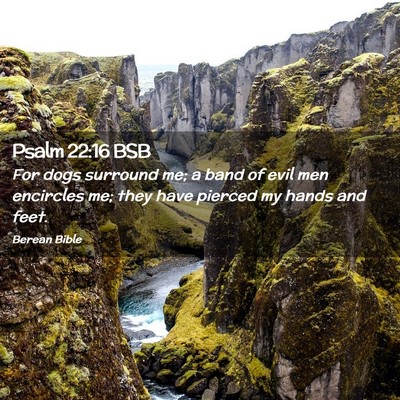 Picture 02 - Psalm 22:16 BSB - For dogs surround me; a band of evil men - Bible Verse Picture