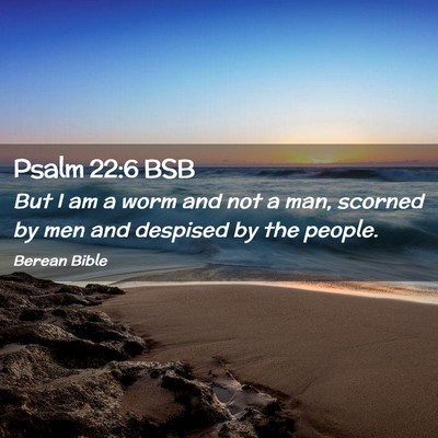 Picture 02 - Psalm 22:6 BSB - But I am a worm and not a man, scorned by men and - Bible Verse Picture