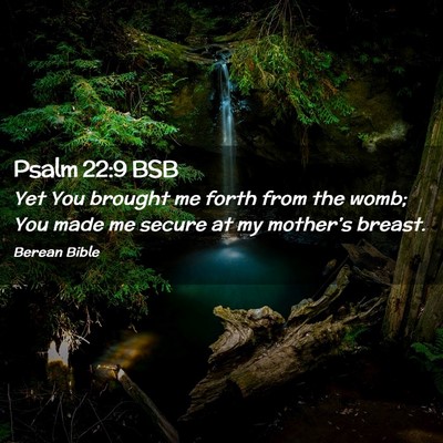 Picture 02 - Psalm 22:9 BSB - Yet You brought me forth from the womb; You made - Bible Verse Picture