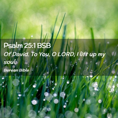 Picture 02 - Psalm 25:1 BSB - Of David. To You, O LORD, I lift up my - Bible Verse Picture