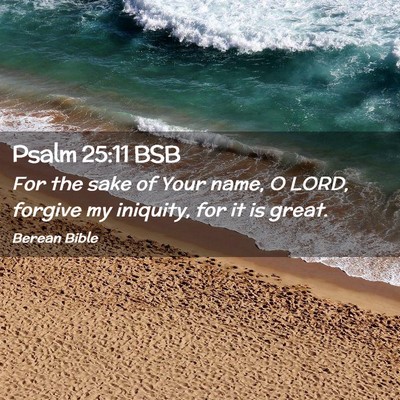Picture 02 - Psalm 25:11 BSB - For the sake of Your name, O LORD, forgive my - Bible Verse Picture