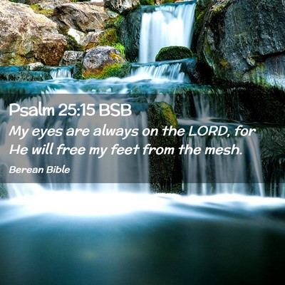 Picture 02 - Psalm 25:15 BSB - My eyes are always on the LORD, for He will free - Bible Verse Picture