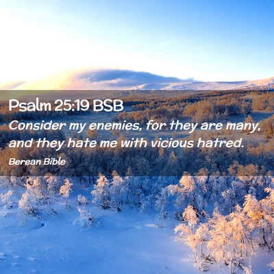 Picture 02 - Psalm 25:19 BSB - Consider my enemies, for they are many, and they - Bible Verse Picture