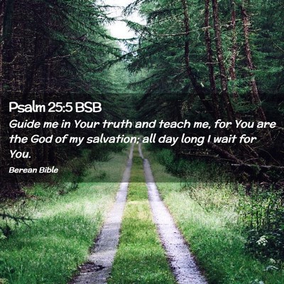 Picture 02 - Psalm 25:5 BSB - Guide me in Your truth and teach me, for You are - Bible Verse Picture