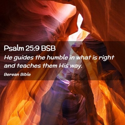 Picture 02 - Psalm 25:9 BSB - He guides the humble in what is right and teaches - Bible Verse Picture