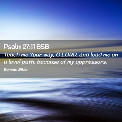 Picture 02 - Psalm 27:11 BSB - Teach me Your way, O LORD, and lead me on a level - Bible Verse Picture