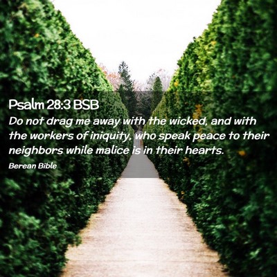 Picture 02 - Psalm 28:3 BSB - Do not drag me away with the wicked, and with the - Bible Verse Picture