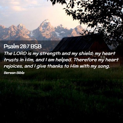 Picture 02 - Psalm 28:7 BSB - The LORD is my strength and my shield; my heart - Bible Verse Picture