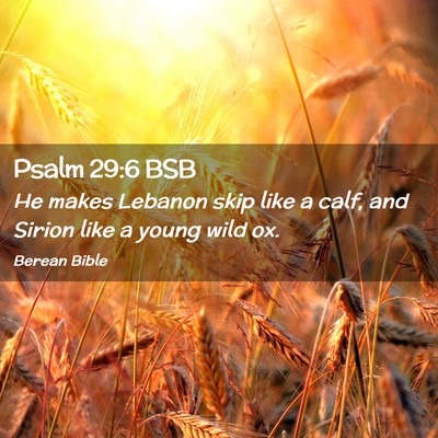 Picture 02 - Psalm 29:6 BSB - He makes Lebanon skip like a calf, and Sirion - Bible Verse Picture