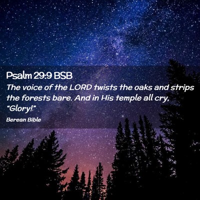 Picture 02 - Psalm 29:9 BSB - The voice of the LORD twists the oaks and strips - Bible Verse Picture