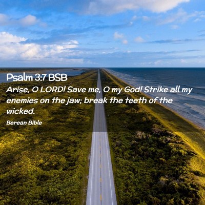 Picture 02 - Psalm 3:7 BSB - Arise, O LORD! Save me, O my God! Strike all my - Bible Verse Picture