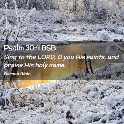 Picture 02 - Psalm 30:4 BSB - Sing to the LORD, O you His saints, and praise - Bible Verse Picture