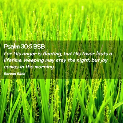 Picture 02 - Psalm 30:5 BSB - For His anger is fleeting, but His favor lasts a - Bible Verse Picture