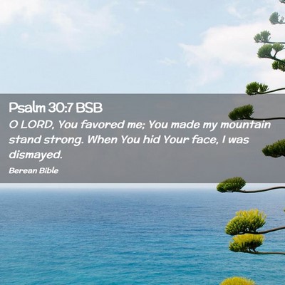 Picture 02 - Psalm 30:7 BSB - O LORD, You favored me; You made my mountain - Bible Verse Picture