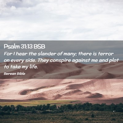 Picture 02 - Psalm 31:13 BSB - For I hear the slander of many; there is terror - Bible Verse Picture