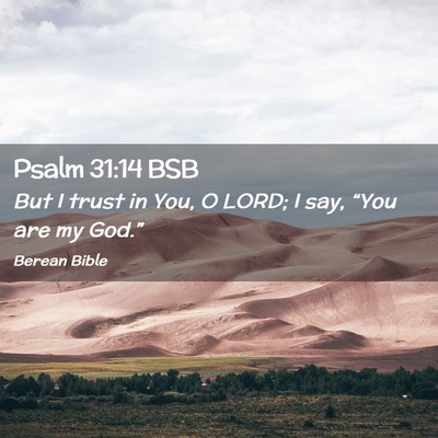 Picture 02 - Psalm 31:14 BSB - But I trust in You, O LORD; I say, “You are my - Bible Verse Picture
