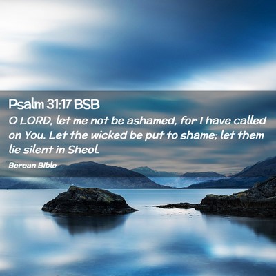 Picture 02 - Psalm 31:17 BSB - O LORD, let me not be ashamed, for I have called - Bible Verse Picture