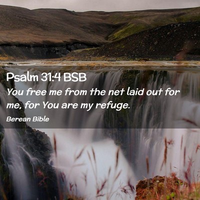 Picture 02 - Psalm 31:4 BSB - You free me from the net laid out for me, for You - Bible Verse Picture