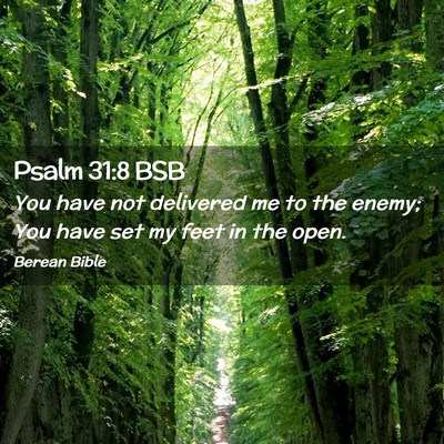 Picture 02 - Psalm 31:8 BSB - You have not delivered me to the enemy; You have - Bible Verse Picture