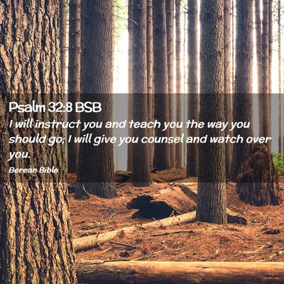 Picture 02 - Psalm 32:8 BSB - I will instruct you and teach you the way you - Bible Verse Picture