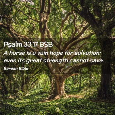 Picture 02 - Psalm 33:17 BSB - A horse is a vain hope for salvation; even its - Bible Verse Picture
