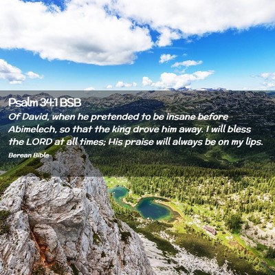 Picture 02 - Psalm 34:1 BSB - Of David, when he pretended to be insane before - Bible Verse Picture