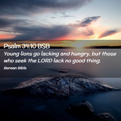 Picture 02 - Psalm 34:10 BSB - Young lions go lacking and hungry, but those who - Bible Verse Picture