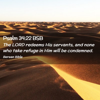 Picture 02 - Psalm 34:22 BSB - The LORD redeems His servants, and none who take - Bible Verse Picture