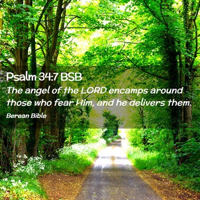 Picture 02 - Psalm 34:7 BSB - The angel of the LORD encamps around those who - Bible Verse Picture
