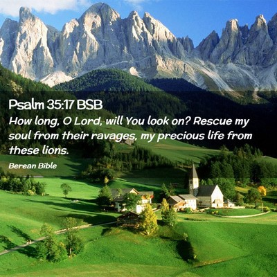 Picture 02 - Psalm 35:17 BSB - How long, O Lord, will You look on? Rescue my - Bible Verse Picture