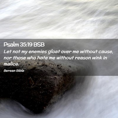 Picture 02 - Psalm 35:19 BSB - Let not my enemies gloat over me without cause, - Bible Verse Picture