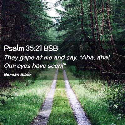 Picture 02 - Psalm 35:21 BSB - They gape at me and say, “Aha, aha! Our eyes - Bible Verse Picture