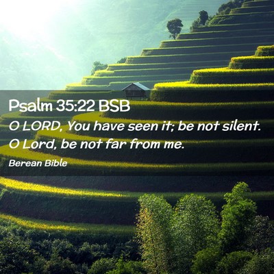 Picture 02 - Psalm 35:22 BSB - O LORD, You have seen it; be not silent. O Lord, - Bible Verse Picture