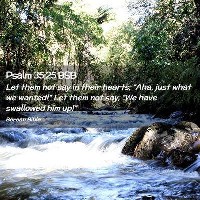 Picture 02 - Psalm 35:25 BSB - Let them not say in their hearts, “Aha, just - Bible Verse Picture